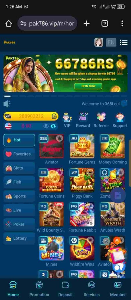 PAK786 Game