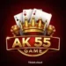 AK55 Game