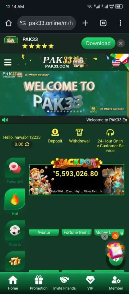 PAK33 Game