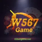 W567 Game