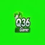 q36 game